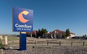 Comfort Inn And Suites Alamosa